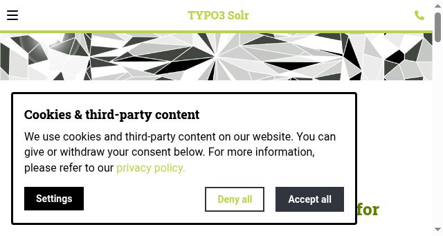 Screenshot of typo3-solr.com