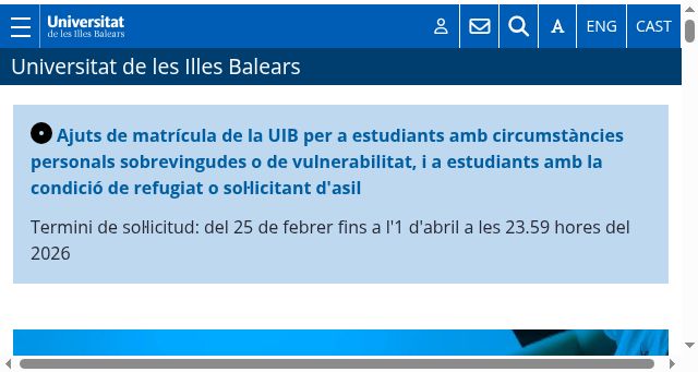 Screenshot of uib.cat