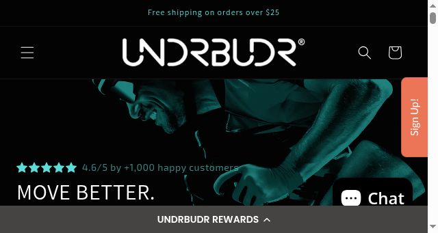 Screenshot of undrbudr.com