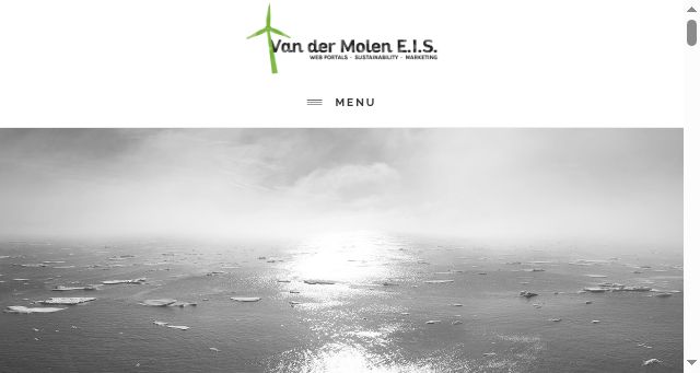 Screenshot of vandermolen-eis.nl