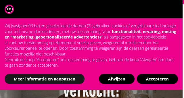 Screenshot of vastgoed03.be