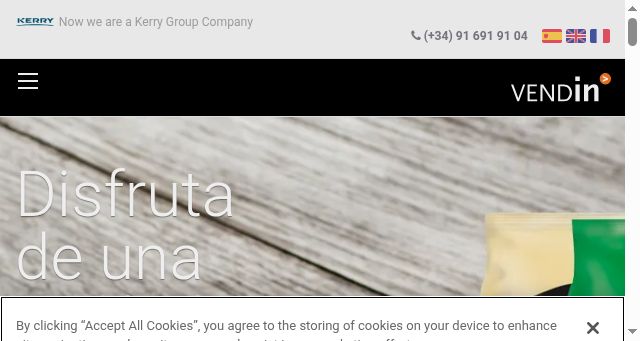 Screenshot of vendin.com