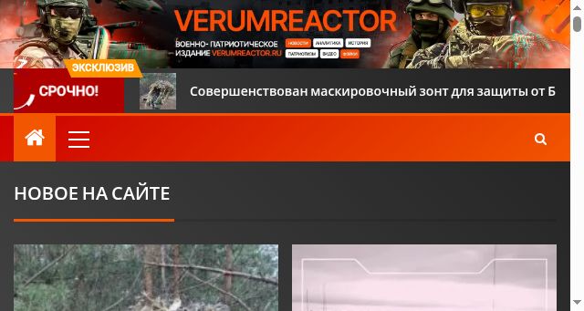 Screenshot of verumreactor.ru