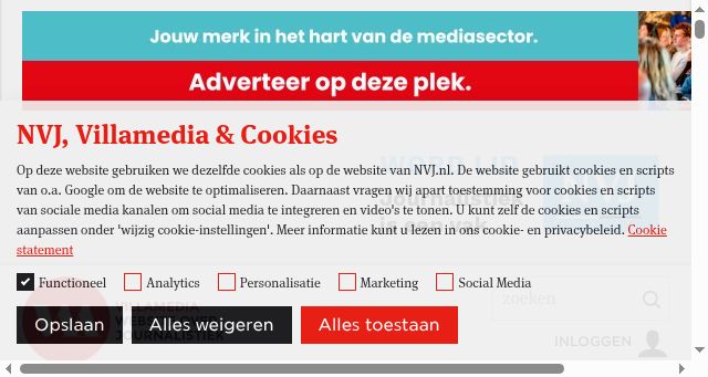 Screenshot of villamedia.nl