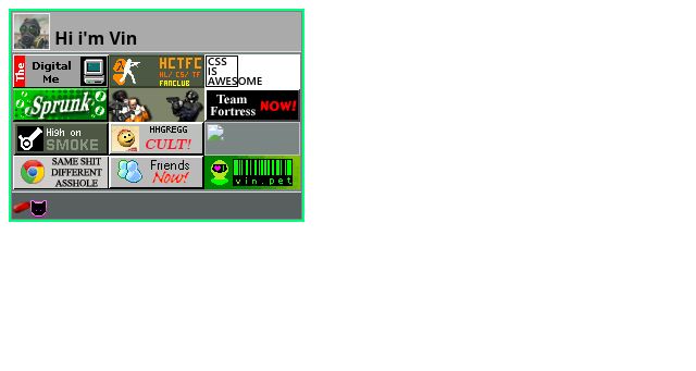 Screenshot of vin.pet