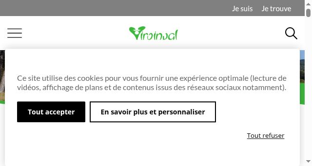 Screenshot of viroinval.be