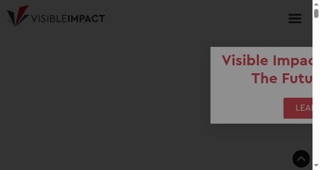 Screenshot of visibleimpact.com