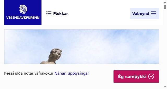 Screenshot of visindavefur.is