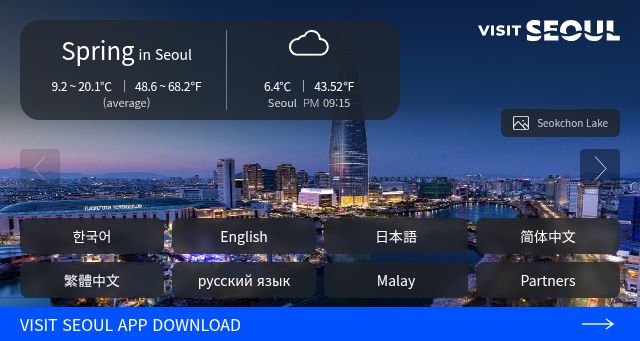 Screenshot of visitseoul.net