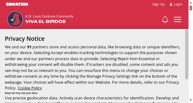 Screenshot of vivaelbirdos.com