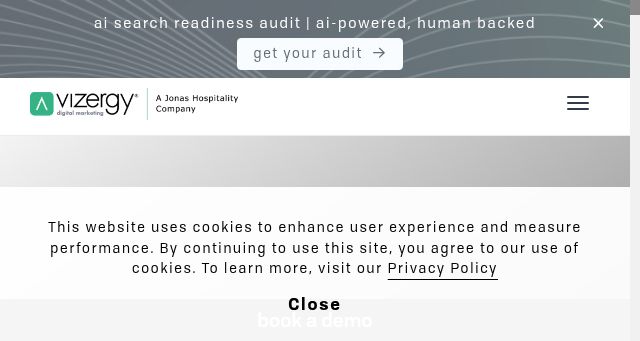 Screenshot of vizergy.com