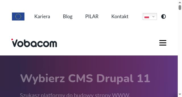 Screenshot of vobacom.pl