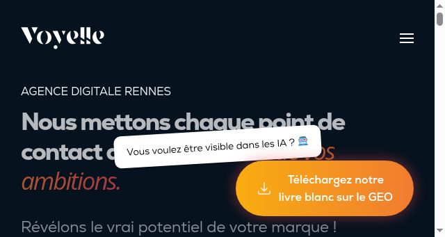 Screenshot of voyelle.fr