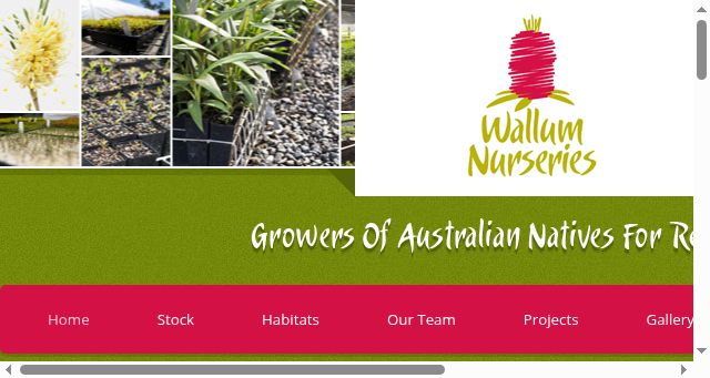 Screenshot of wallumnurseries.com
