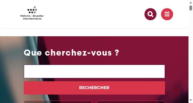 Screenshot of wbi.be