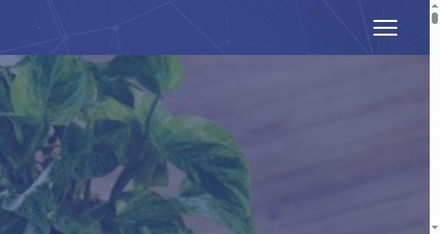 Screenshot of websolutions.biz.pl