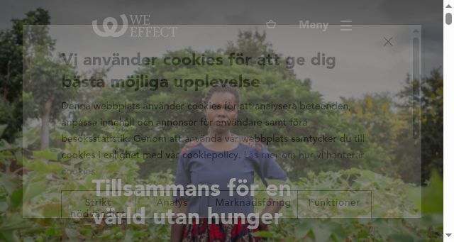 Screenshot of weeffect.se