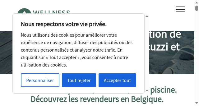 Screenshot of wellness-concept.be