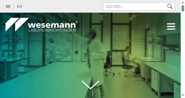 Screenshot of wesemann.com