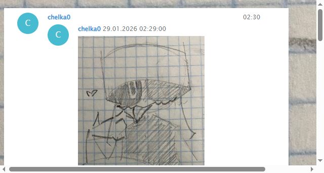 Screenshot of wico.lol