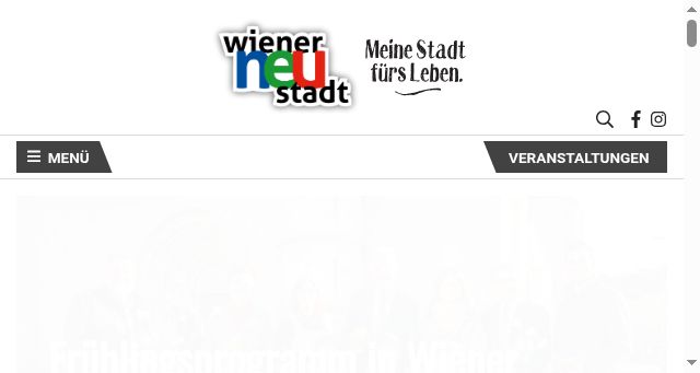 Screenshot of wiener-neustadt.at