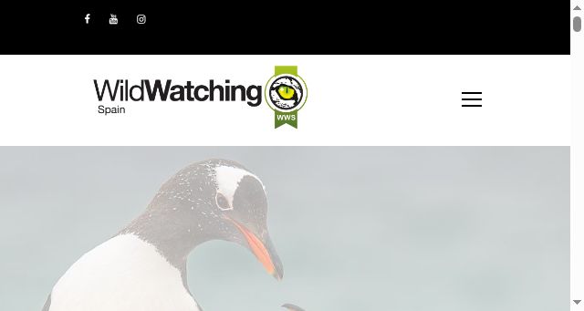 Screenshot of wildwatchingspain.com