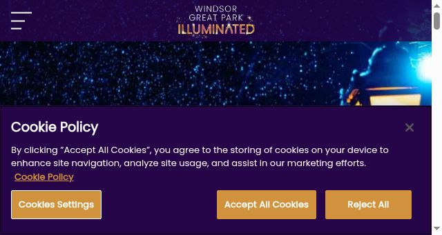 Screenshot of windsorilluminated.com