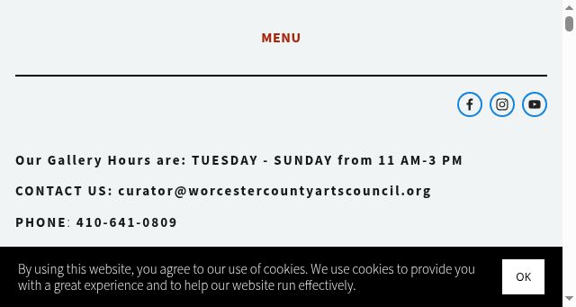 Screenshot of worcestercountyartscouncil.org