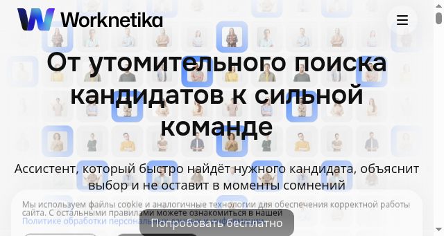 Screenshot of worknetika.ru