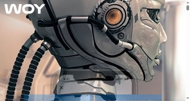 Screenshot of woy.pt