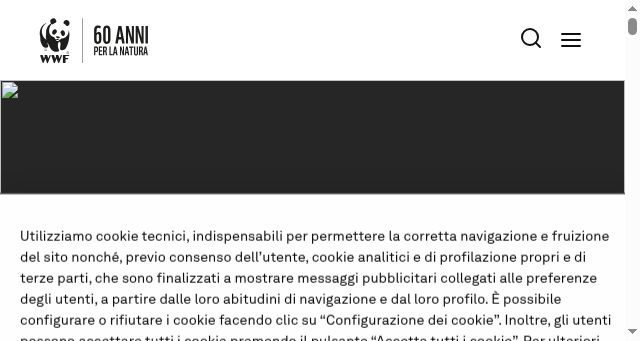 Screenshot of wwf.it