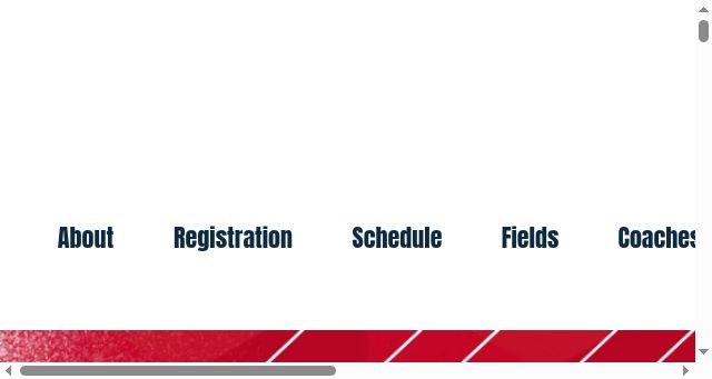 Screenshot of wyslsoccer.org