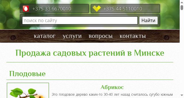 Screenshot of xn--80akac0bu4b.xn--90ais