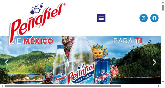 Screenshot of xn--peafielmx-m6a.com