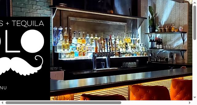 Screenshot of xoloflint.com