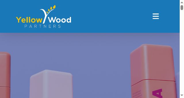 Screenshot of yellowwoodpartners.com