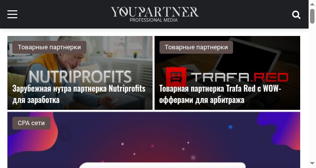 Screenshot of youpartner.pro