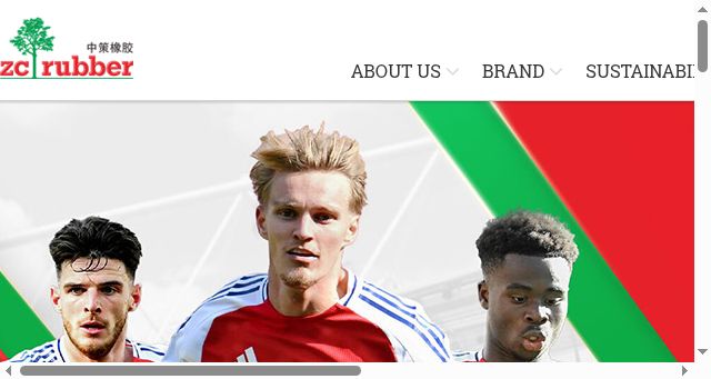 Screenshot of zc-rubber.com