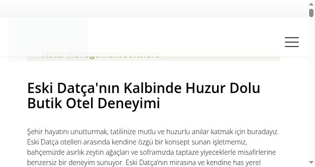 Screenshot of zeytinn.com.tr