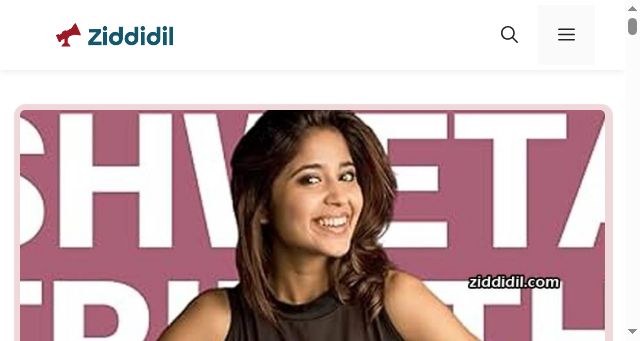 Screenshot of ziddidil.com