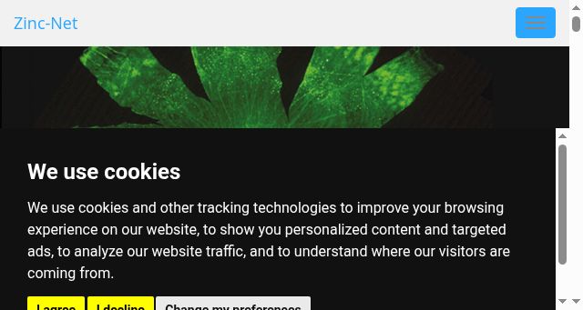 Screenshot of zinc-net.com