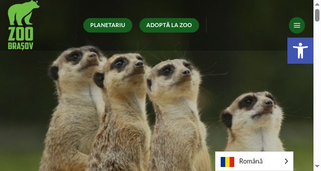 Screenshot of zoobrasov.ro